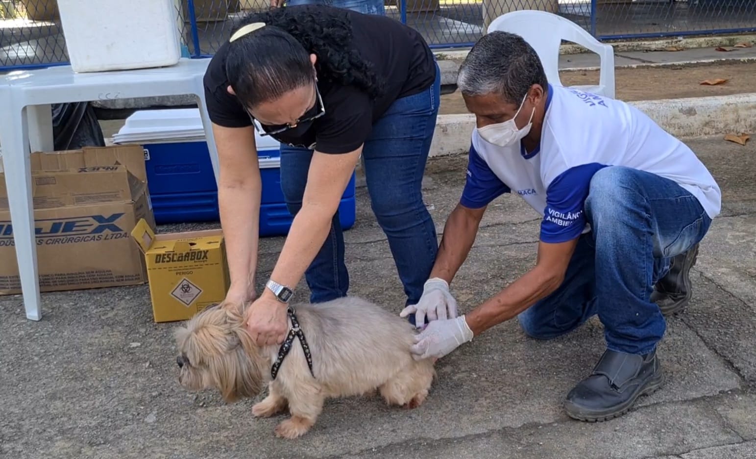 Vacinação antirrábica imuniza cães e gatos na Aroeira e adjacências