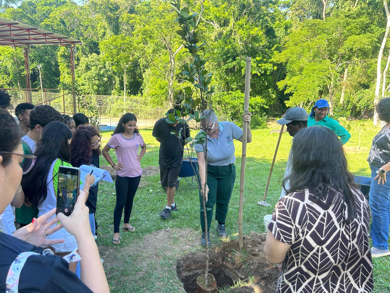 IFF Macaé recebe 30 mudas de espécies da Mata Atlântica