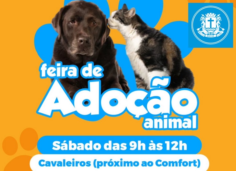 Feira de Adoção de animais neste sábado