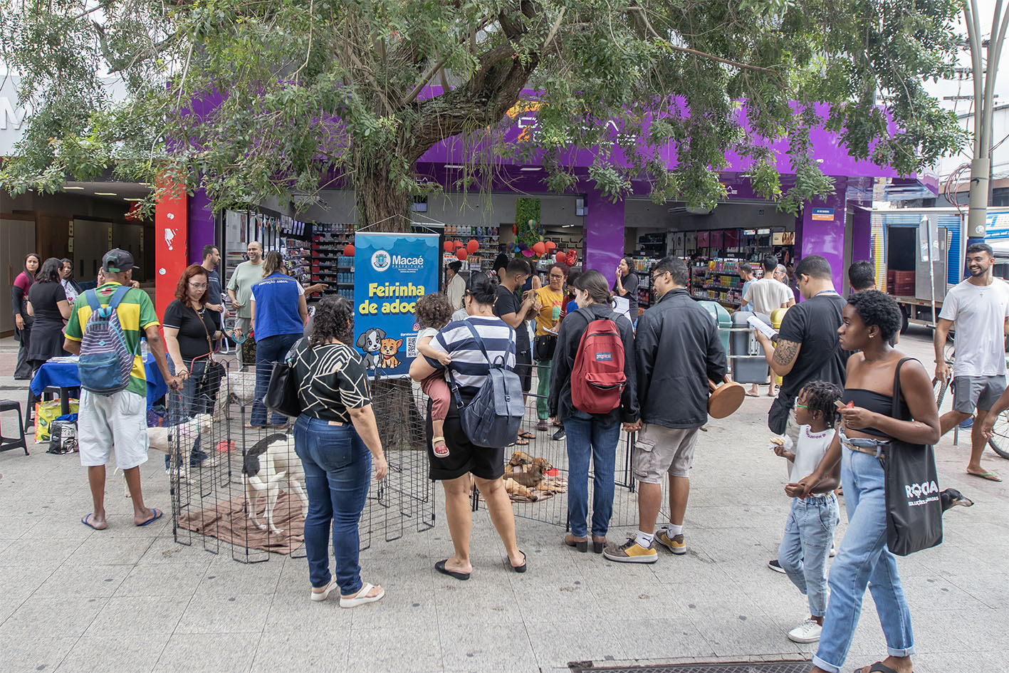 Feira de Adoção de pets é um sucesso em Macaé