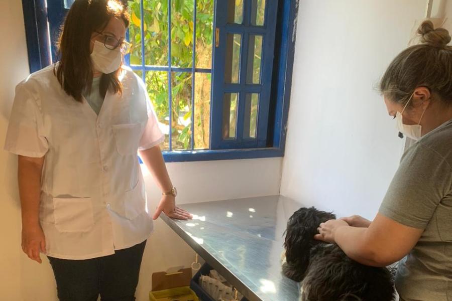 Nota - Atendimento veterinário na UBS Animal do Barreto volta dia 30