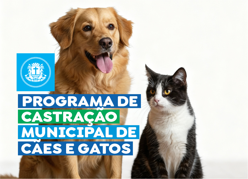 Prefeitura amplia programa gratuito de castração de cães e gatos