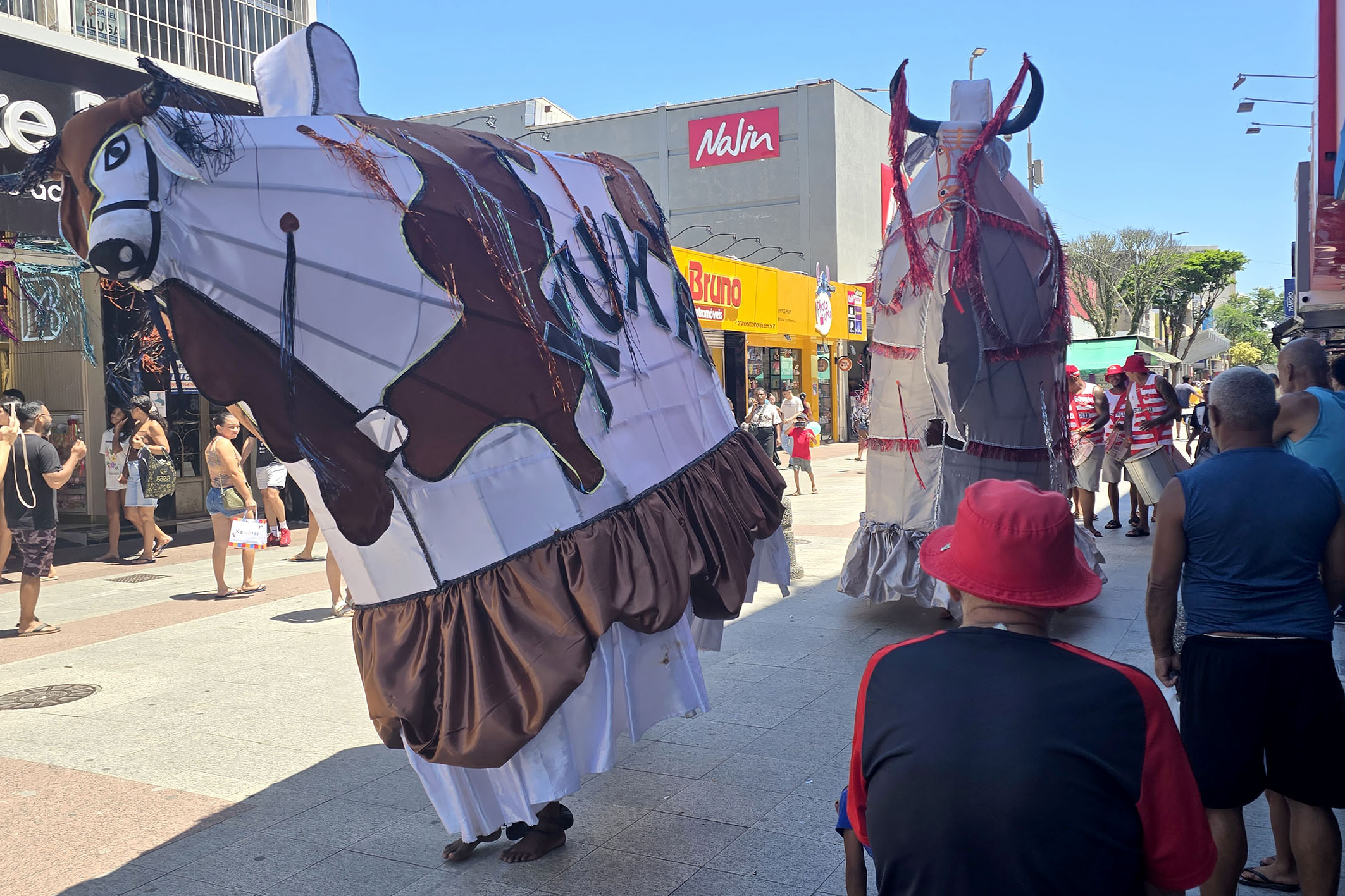 Bois Pintadinhos levam tradição, brilho e identidade cultural ao Centro de Macaé durante o Carnaval Alegria