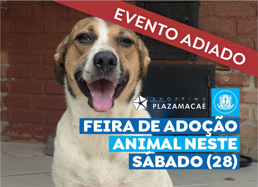 Feira de Adoção de Animais é adiada devido às condições climáticas