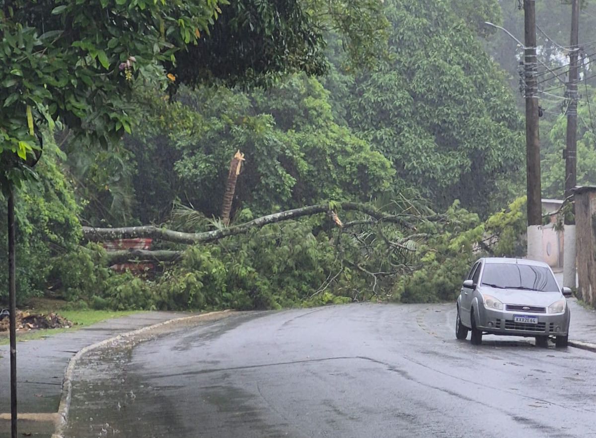 Informe Mobilidade Urbana - via interditada na Aroeira