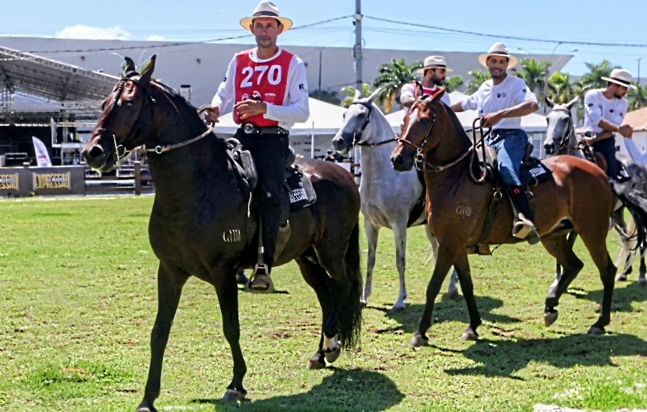 Exposição Brasileira do Criador de Mangalarga Marchador movimenta Macaé até o dia 21