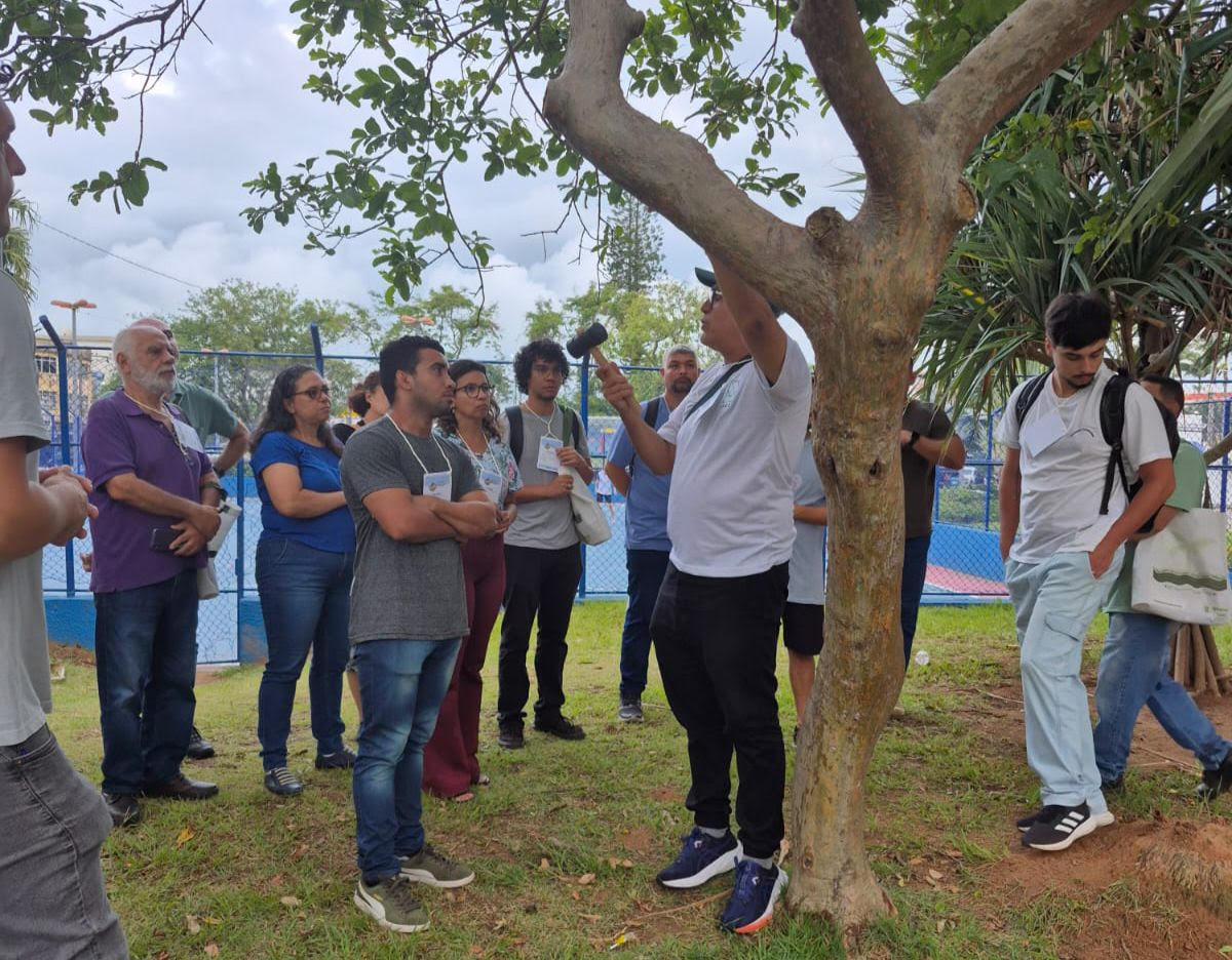 Macaé conquista certificação internacional como “Cidade Árvore do Mundo”