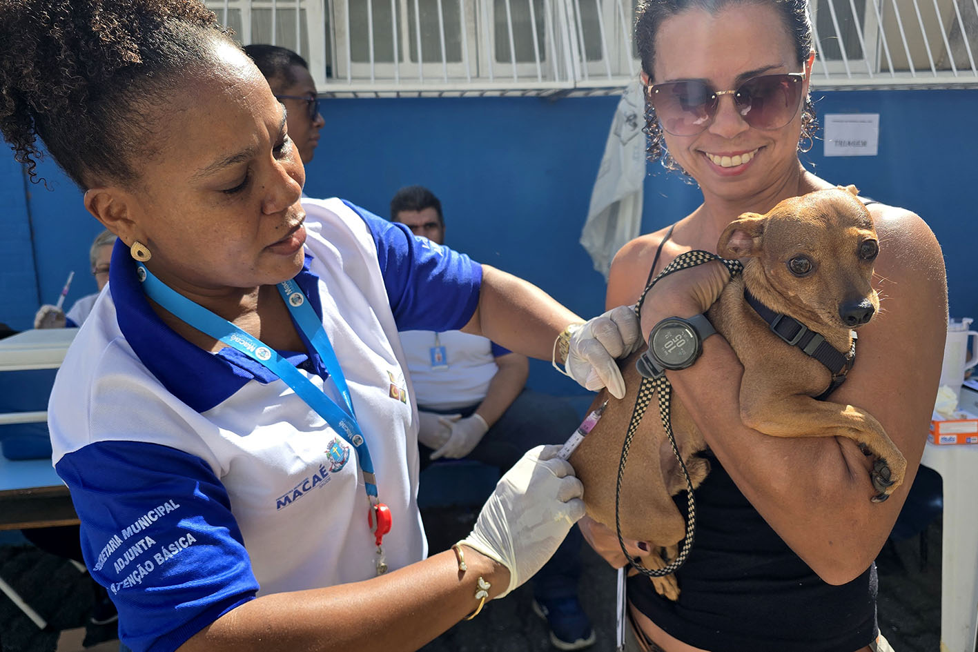 Dia D de vacinação antirrábica protege cães e gatos e reforça a saúde pública em Macaé
