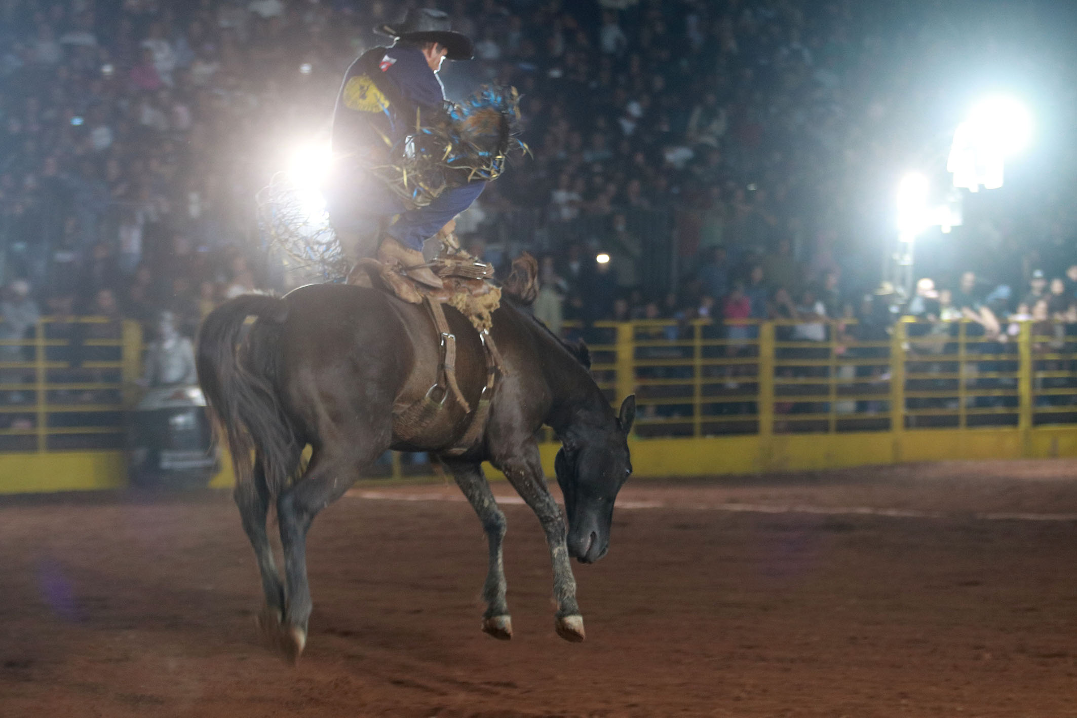 Expo Macaé: festa une agronegócio e grandes atrações