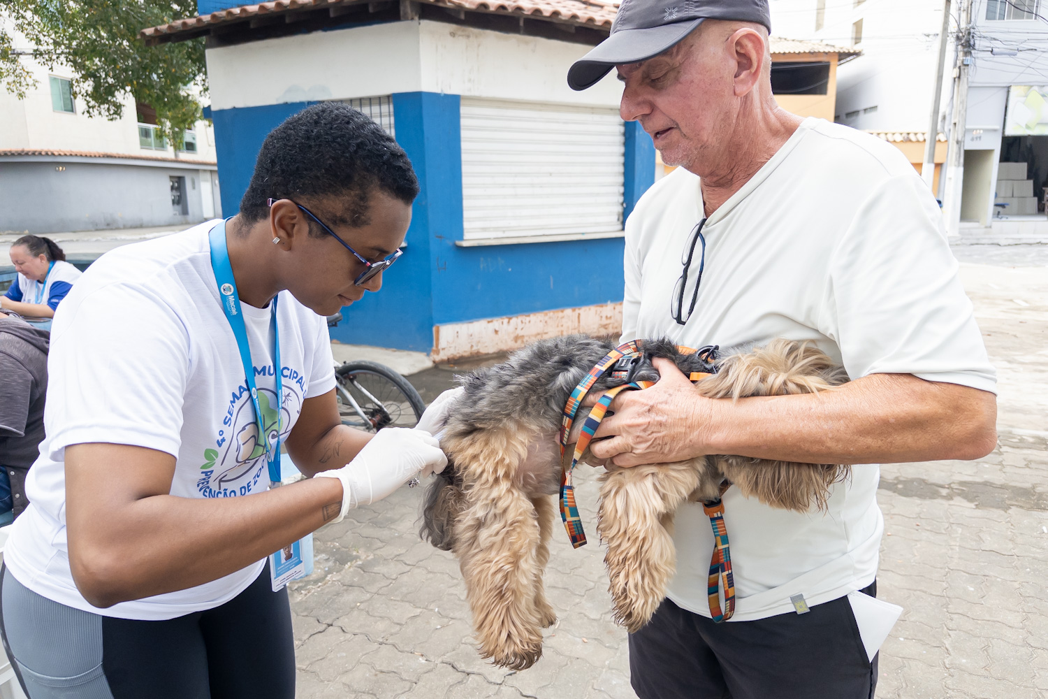 Vacinação antirrábica acontece nesta sexta-feira no Jardim Franco Plaza