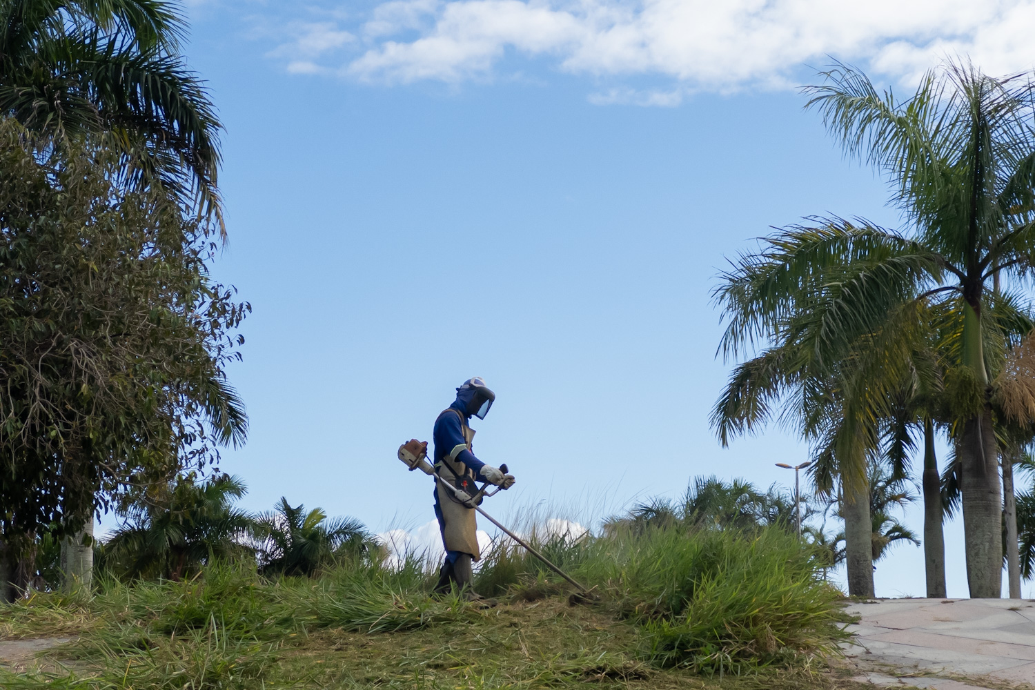 Mutirão intensifica limpeza e cercamento do Parque da Cidade