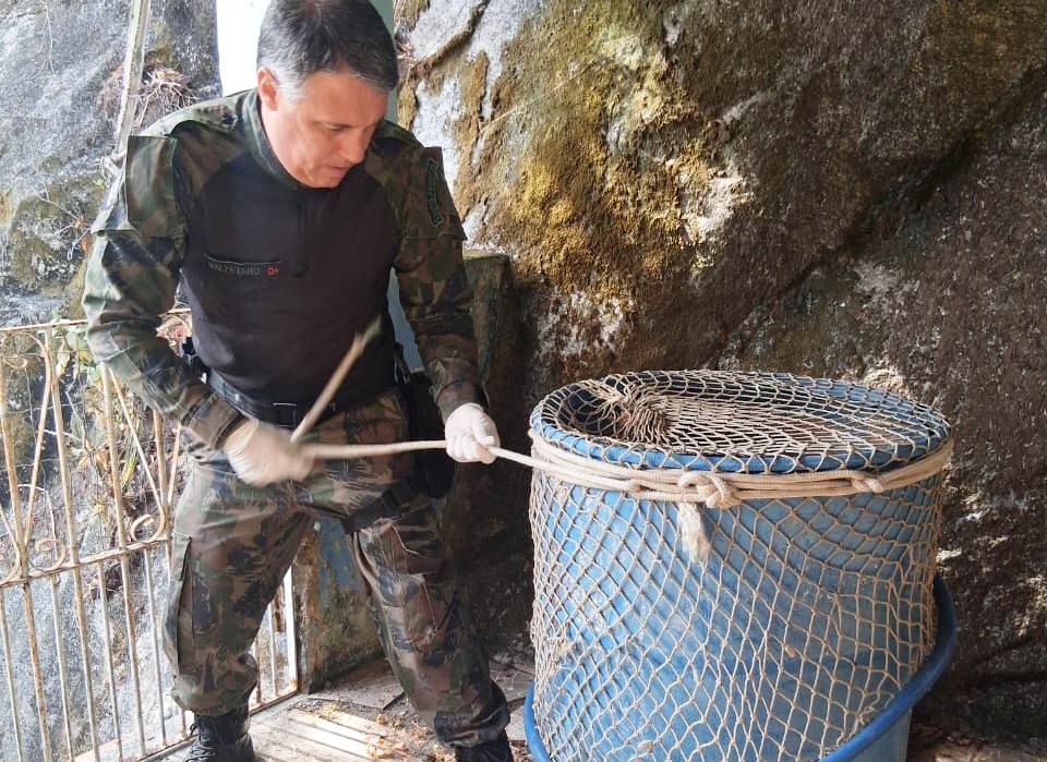 Guarda Ambiental resgata capivara em residência no bairro Aroeira
