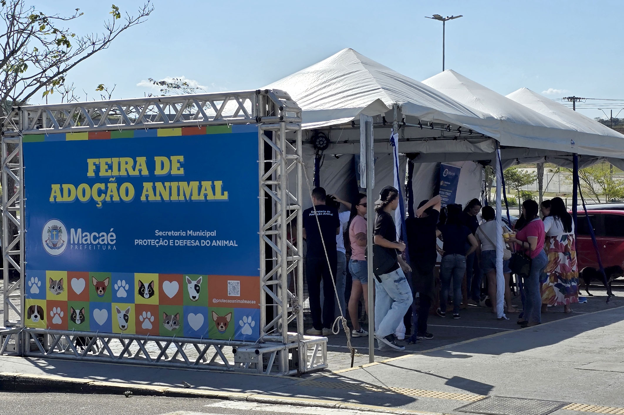 Feira de Adoção Animal acontece neste sábado (22) no Shopping Plaza Macaé