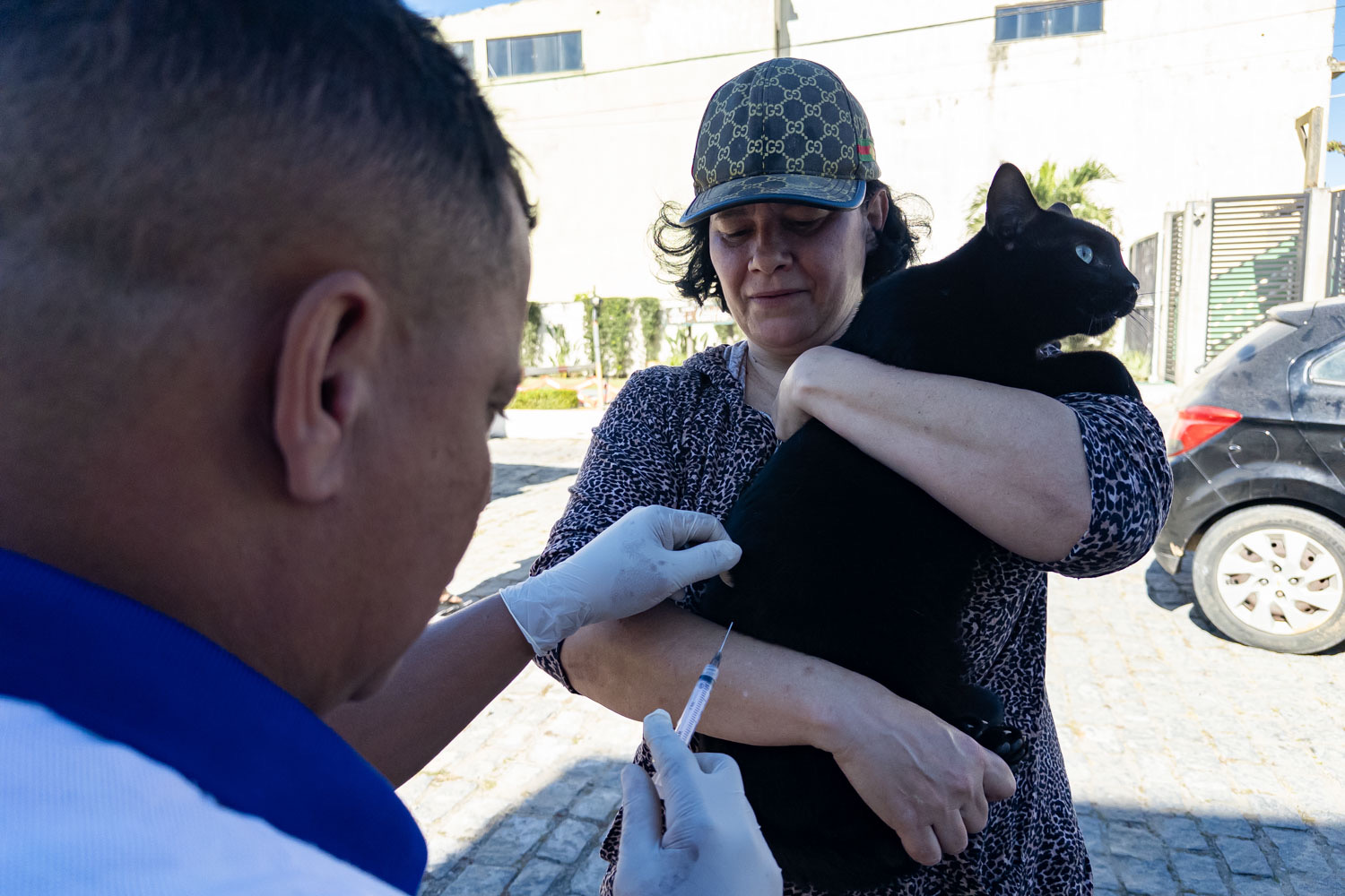 Macaé vacina cães e gatos contra a raiva em diversos bairros de 9 a 11 deste mês